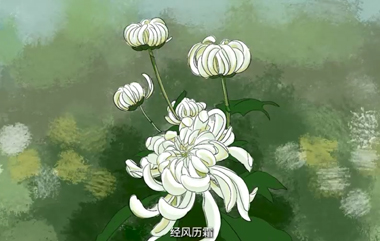 祭憶之花